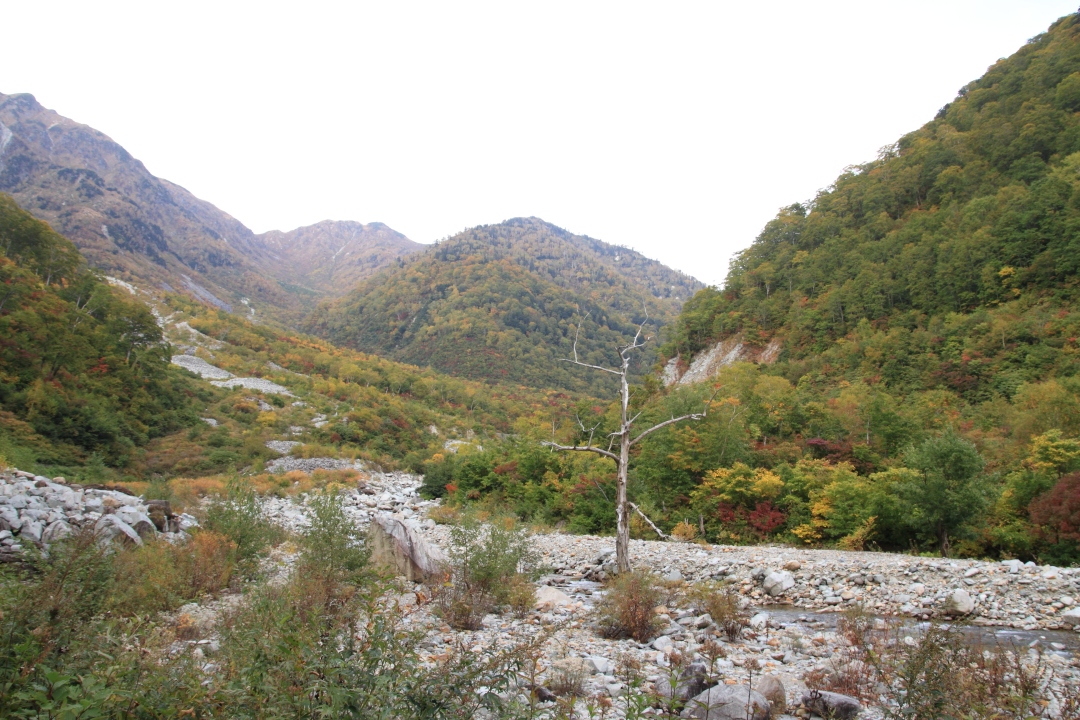 a0203733_21434454.jpg