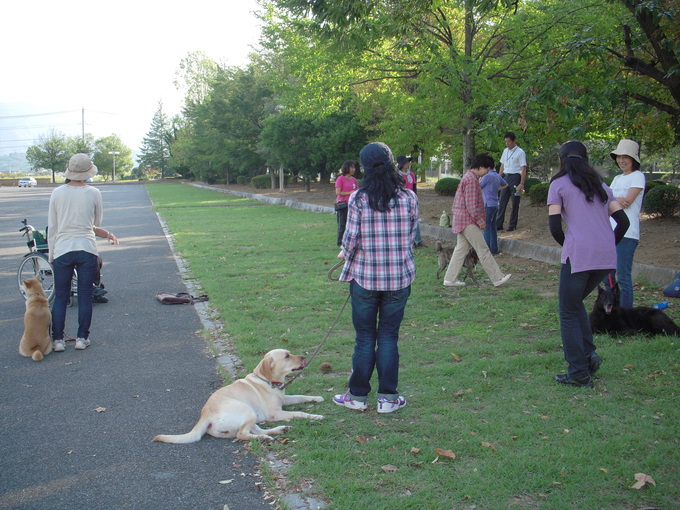 合同訓練（小瀬運動公園第三駐車場）_c0114833_7272493.jpg