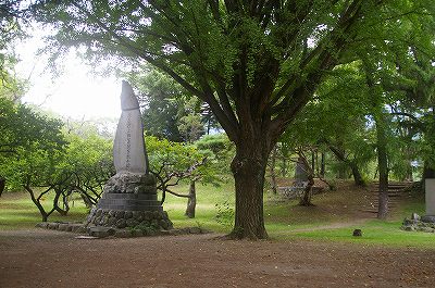 秋の信州の旅（3）上田城_d0043136_22273638.jpg