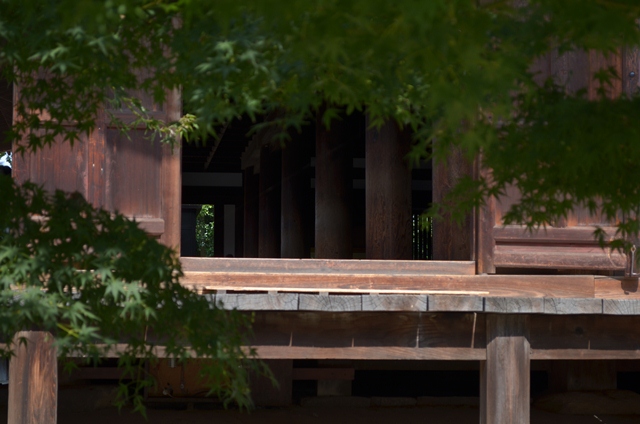 薬師寺  Yakushiji Temple_a0290739_23215925.jpg