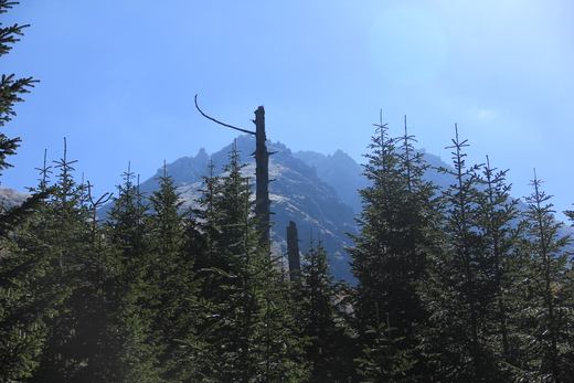 d0132743_10172435.jpg
