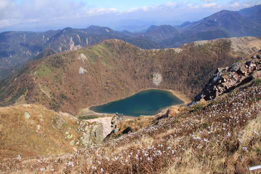 d0132743_10333067.jpg