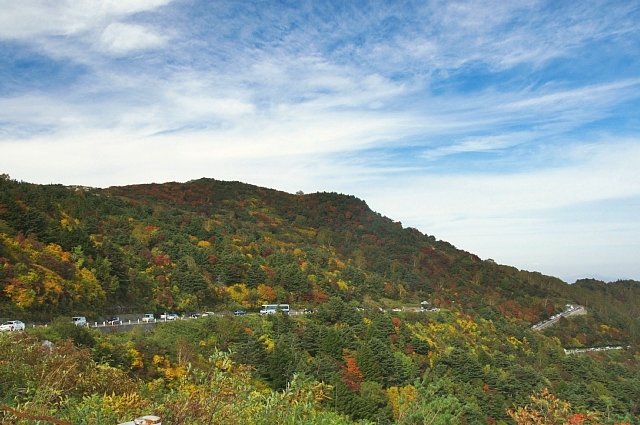 b0122448_220294.jpg