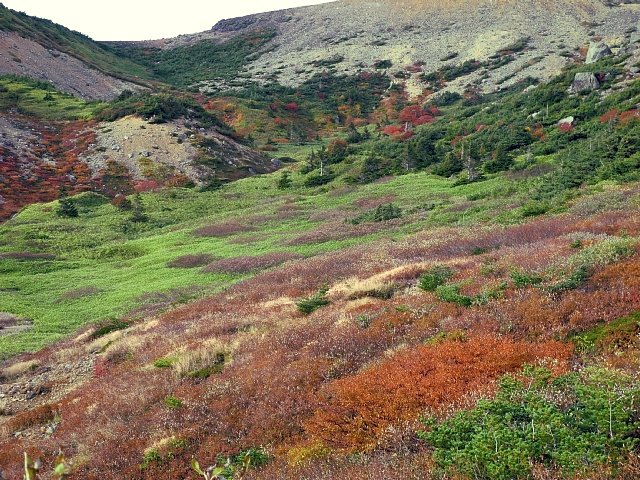 b0122448_22105329.jpg
