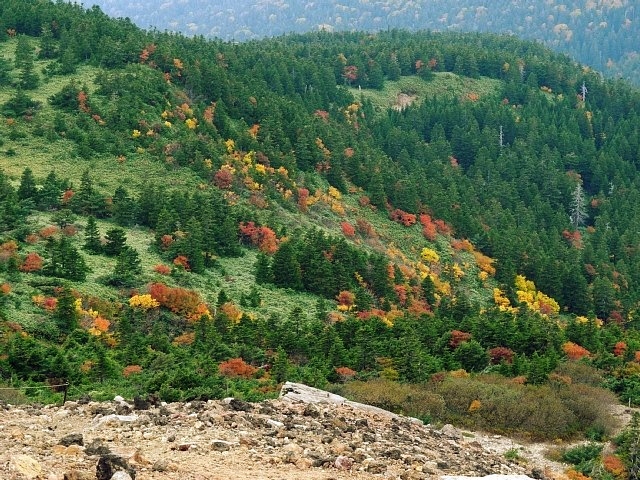 b0122448_2218337.jpg