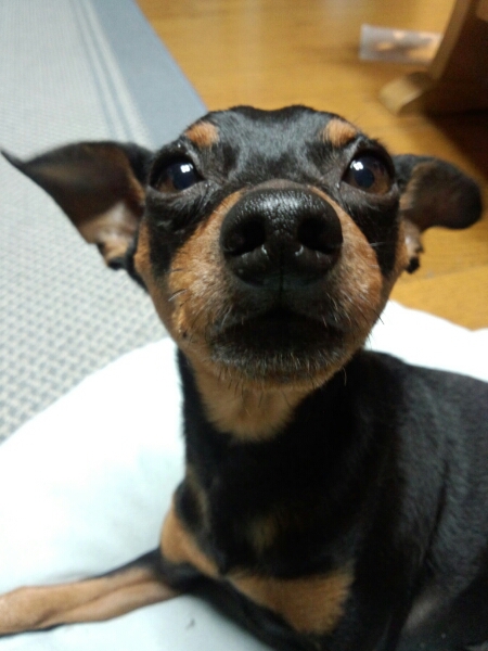 c0235348_5304676.jpg