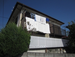 d0204154_1842189.jpg