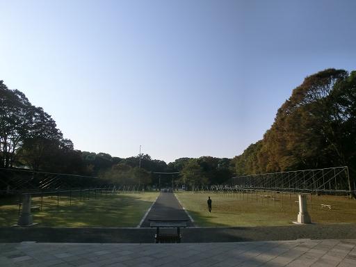 f0208355_8495083.jpg