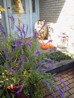 The Garden! Vol.5_a0229658_14544032.jpg