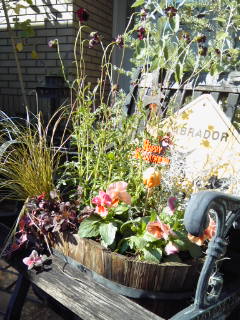 The Garden! Vol.5_a0229658_16541.jpg