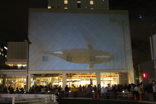 f0054859_8473929.jpg