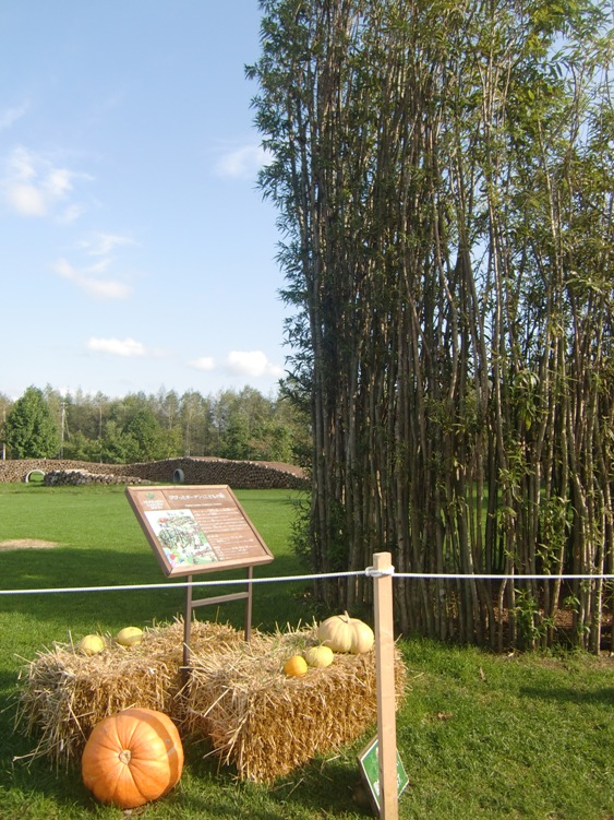 b0236665_19134622.jpg