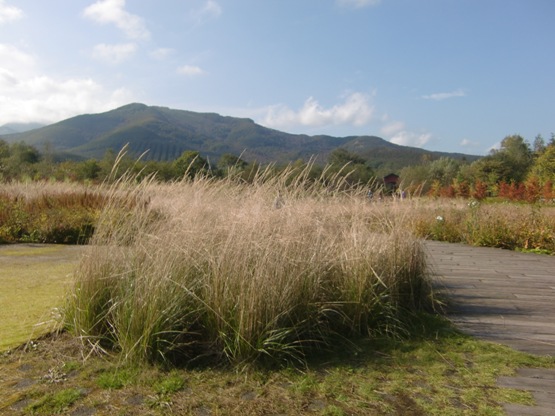 b0236665_209347.jpg