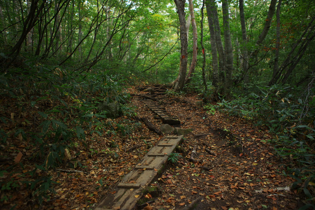 f0171065_2304072.jpg