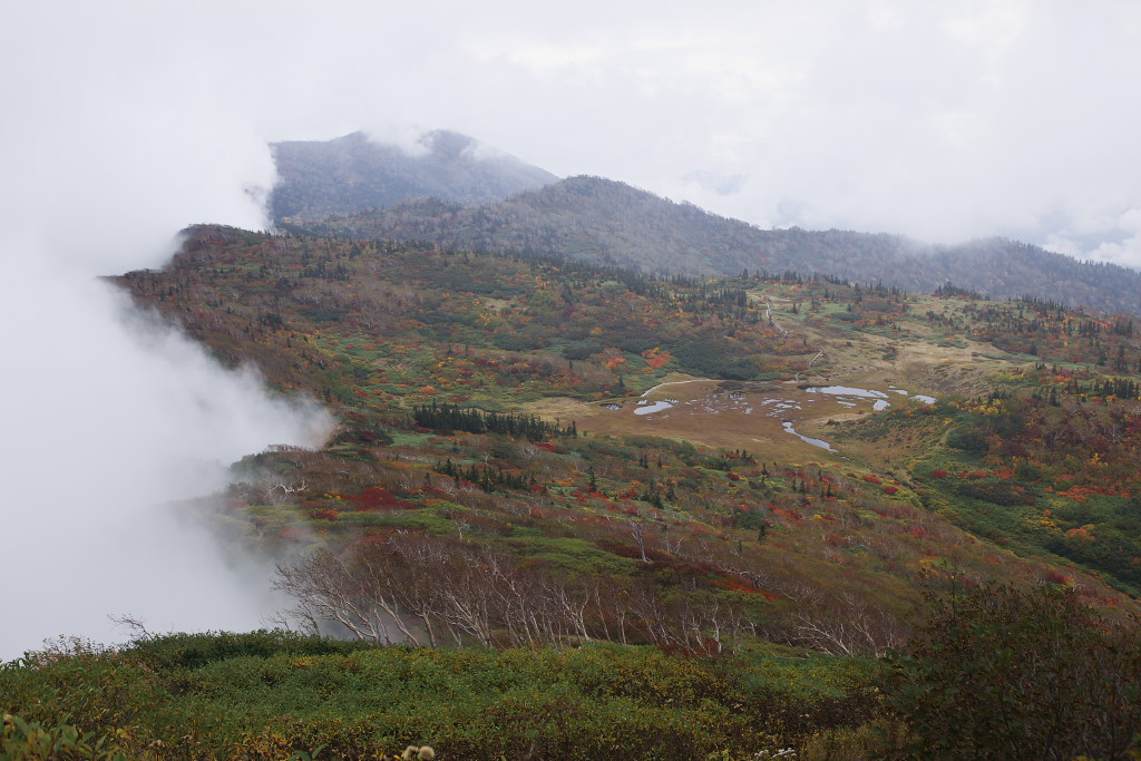 f0171065_23374485.jpg