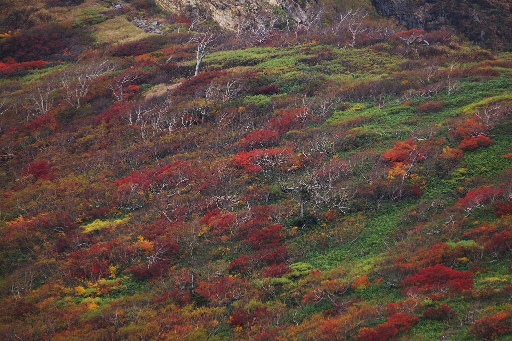 f0171065_23573340.jpg