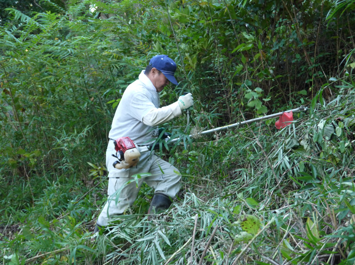急増したカラスザンショウ伐採:10・15六国見山臨時手入れ_c0014967_9163122.jpg