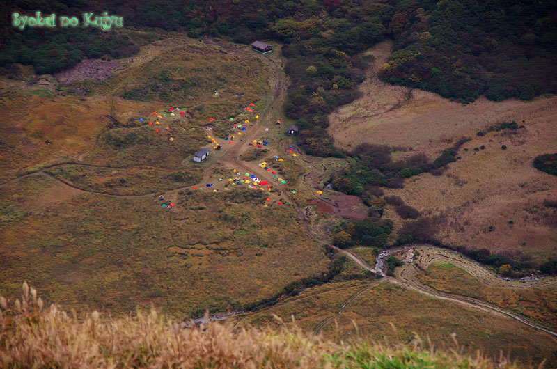 f0173067_1522159.jpg