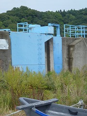 e0160568_162451.jpg