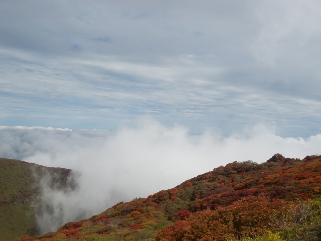 c0042869_63888.jpg