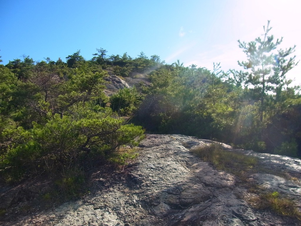 2012/08/22　宝殿山　伊保山　節句山　菊池山_d0233770_5422599.jpg