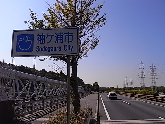 a0120372_21163120.jpg
