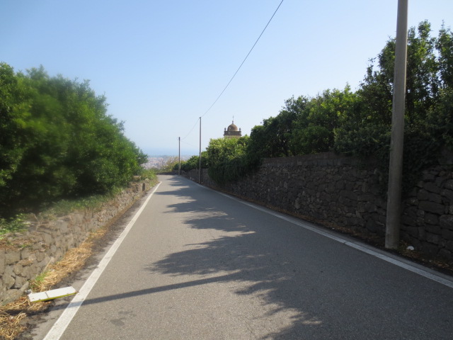 e0212073_1447279.jpg