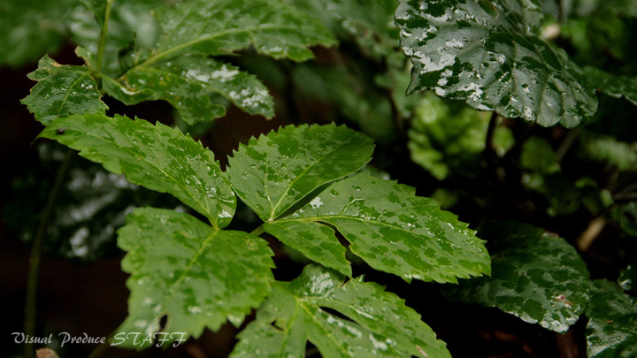 d0223176_2245688.jpg