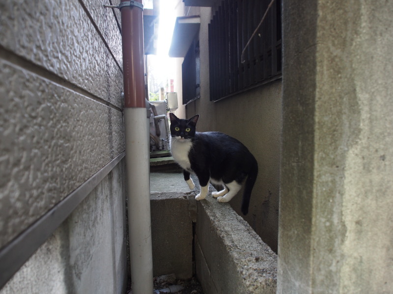 けっこういけてる？_c0109780_19414936.jpg
