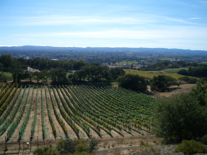 c0024385_14305270.jpg