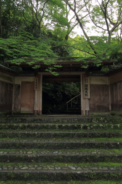 瑠璃光院_e0051888_19421569.jpg