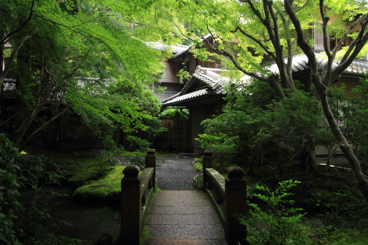 瑠璃光院_e0051888_19424065.jpg
