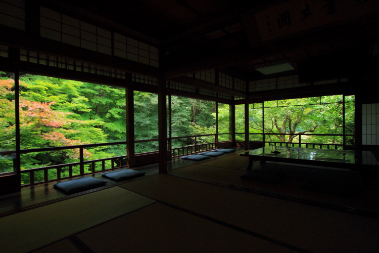 瑠璃光院_e0051888_1942458.jpg