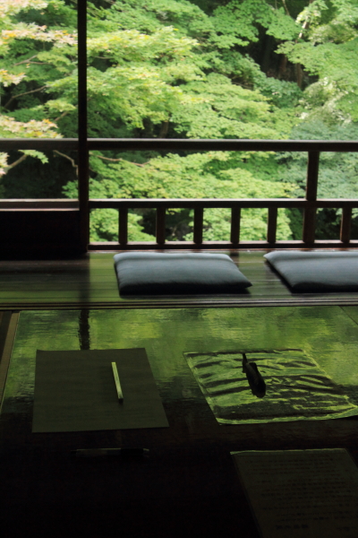 瑠璃光院_e0051888_1943224.jpg