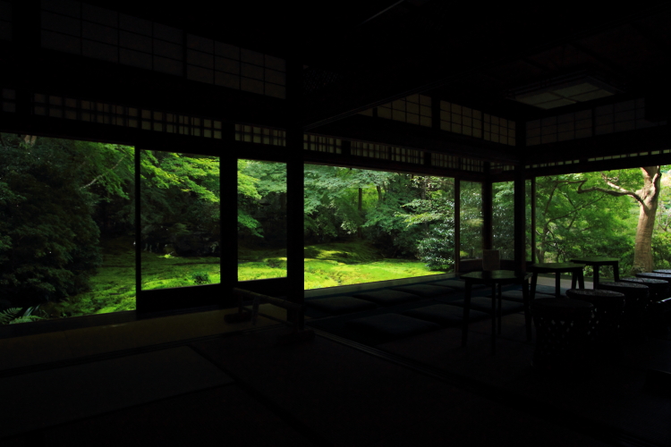 瑠璃光院_e0051888_19433734.jpg