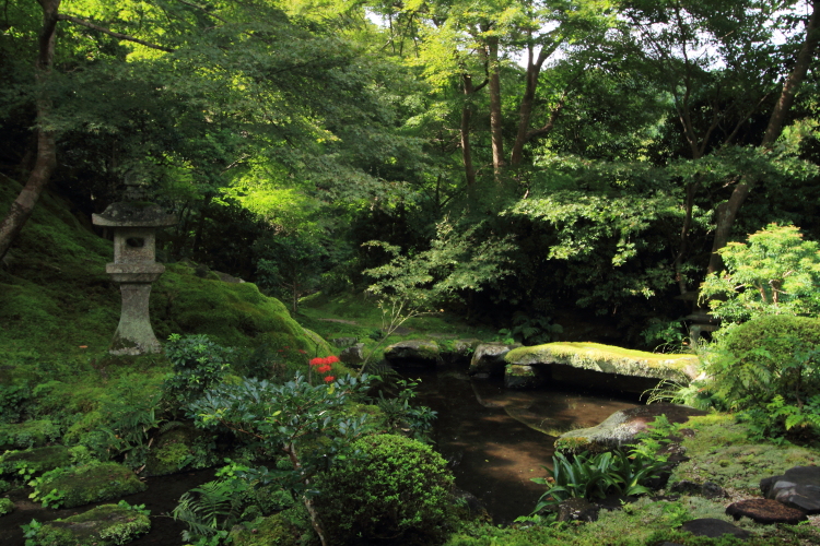 瑠璃光院_e0051888_19441681.jpg