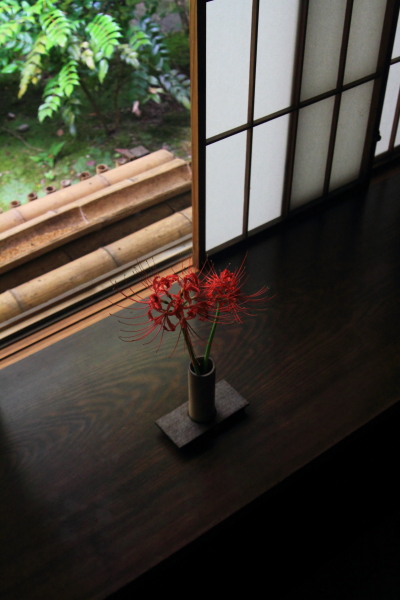 瑠璃光院_e0051888_19443123.jpg