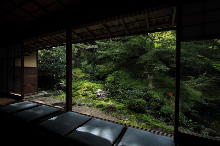 瑠璃光院_e0051888_1944714.jpg