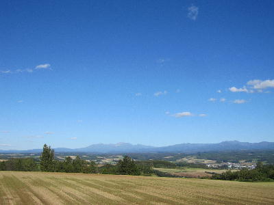 c0171889_1433356.jpg