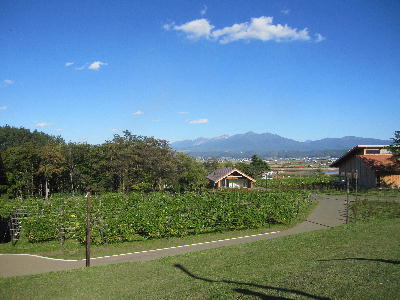 c0171889_14342155.jpg