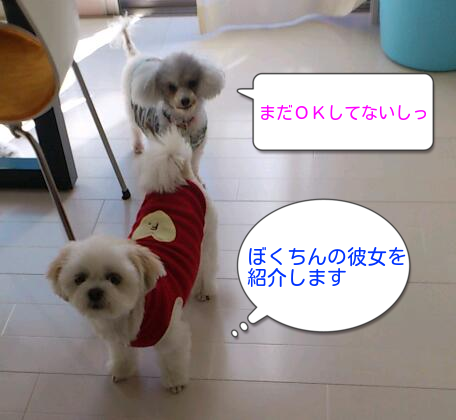 b0237894_11192833.png