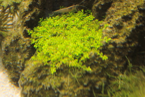 e0219497_2318106.jpg