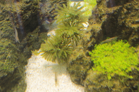 e0219497_23231234.jpg