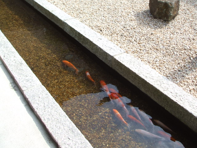 4泊5日の旅(その6)名古屋飯_f0019498_9325530.jpg