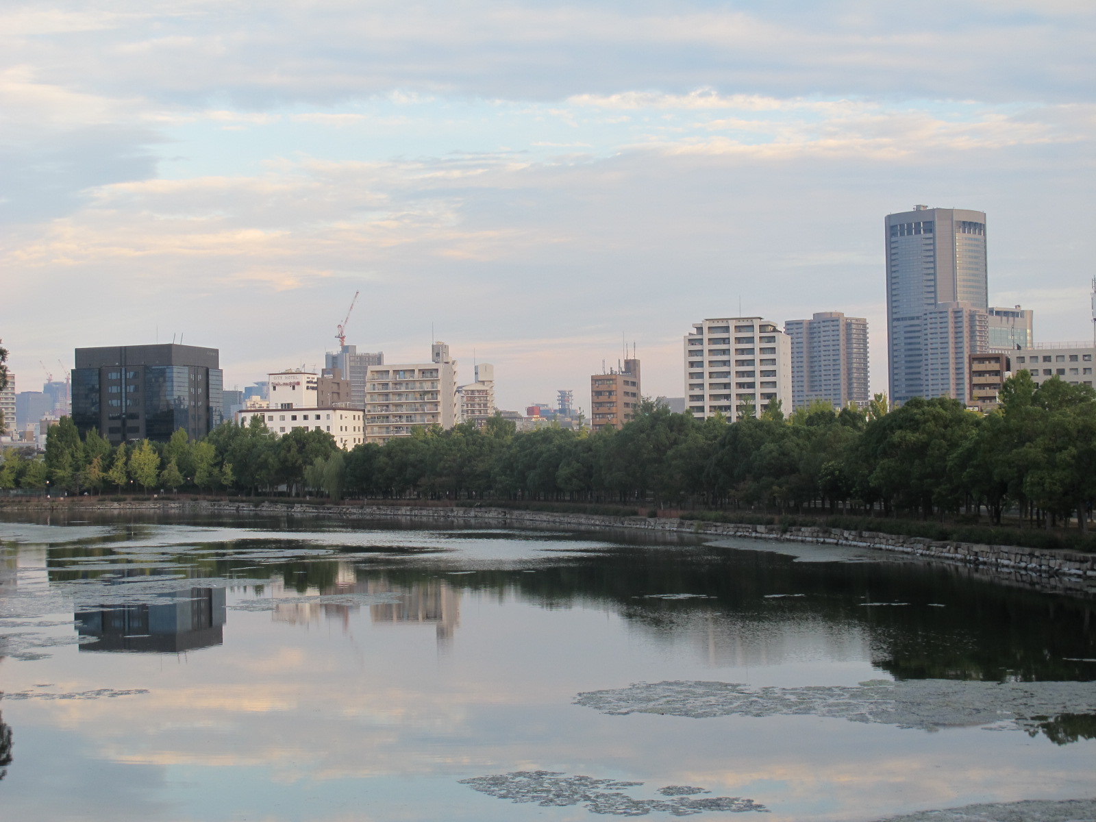 大阪城公園を中秋の朝、散歩する・・・（９）_c0075701_631292.jpg