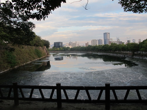 大阪城公園を中秋の朝、散歩する・・・（９）_c0075701_6313270.jpg