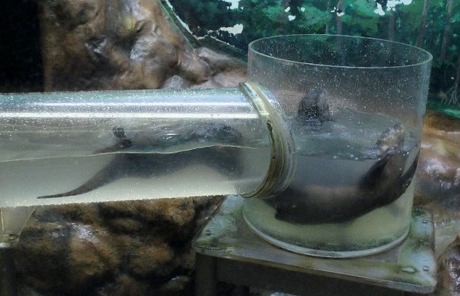 c0155902_22514911.jpg