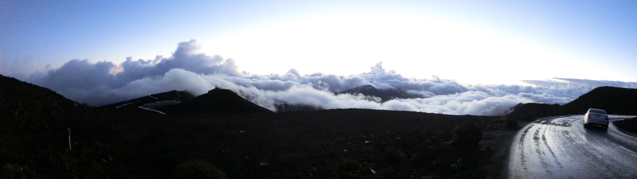 b0190603_16352698.jpg