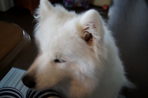 d0149103_17214950.jpg