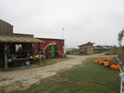 a0208804_1481789.jpg